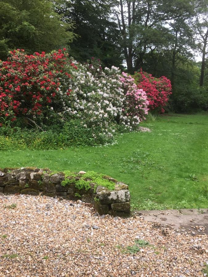 Littlebank Country House Settle Dış mekan fotoğraf