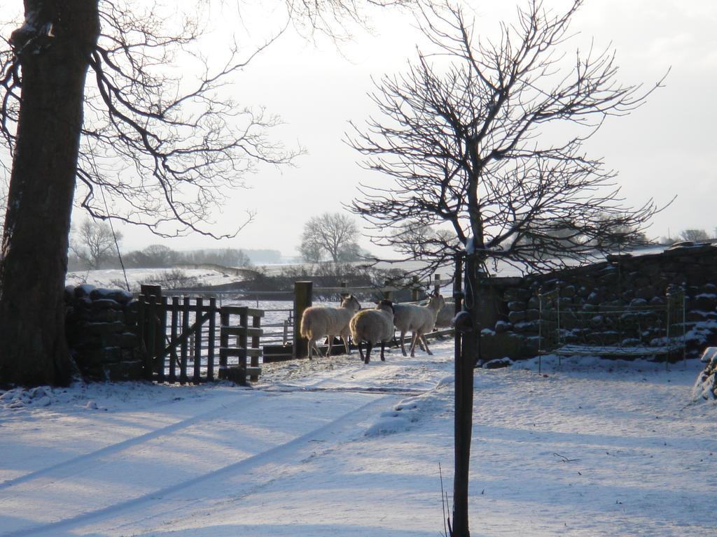 Littlebank Country House Settle Dış mekan fotoğraf