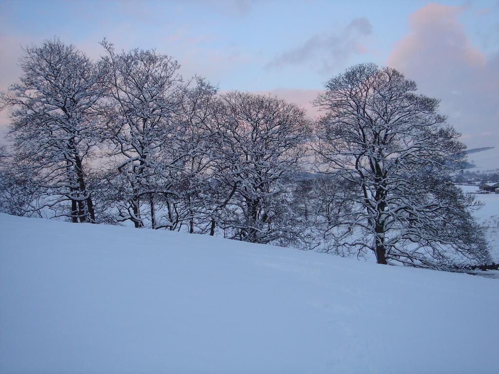 Littlebank Country House Settle Dış mekan fotoğraf